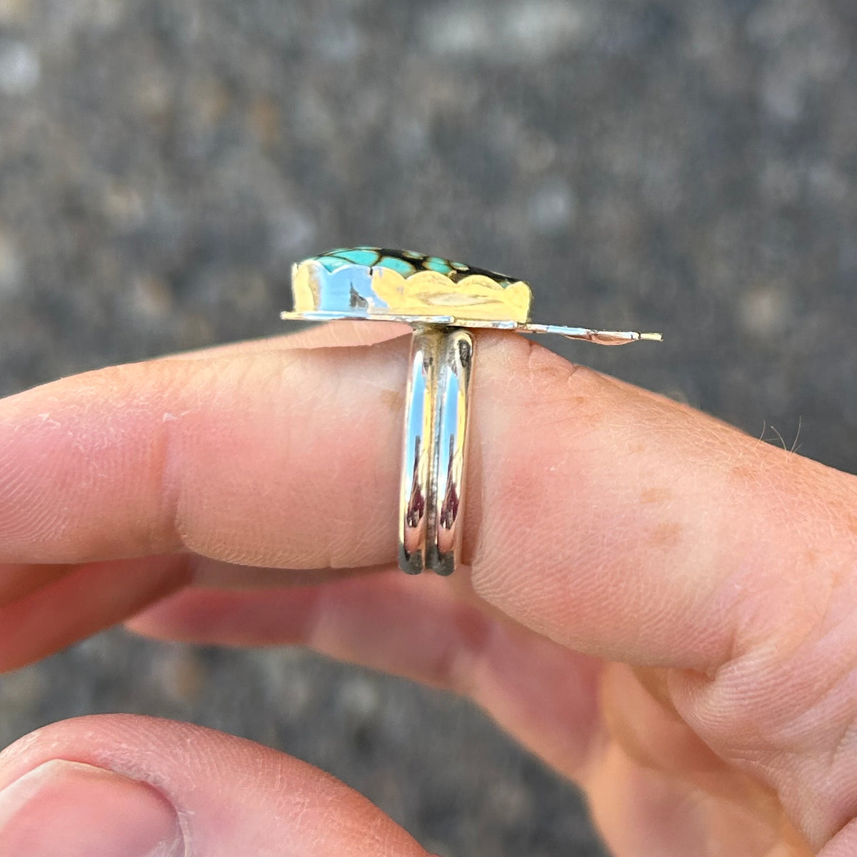 Turquoise Whale Shark Size 6
