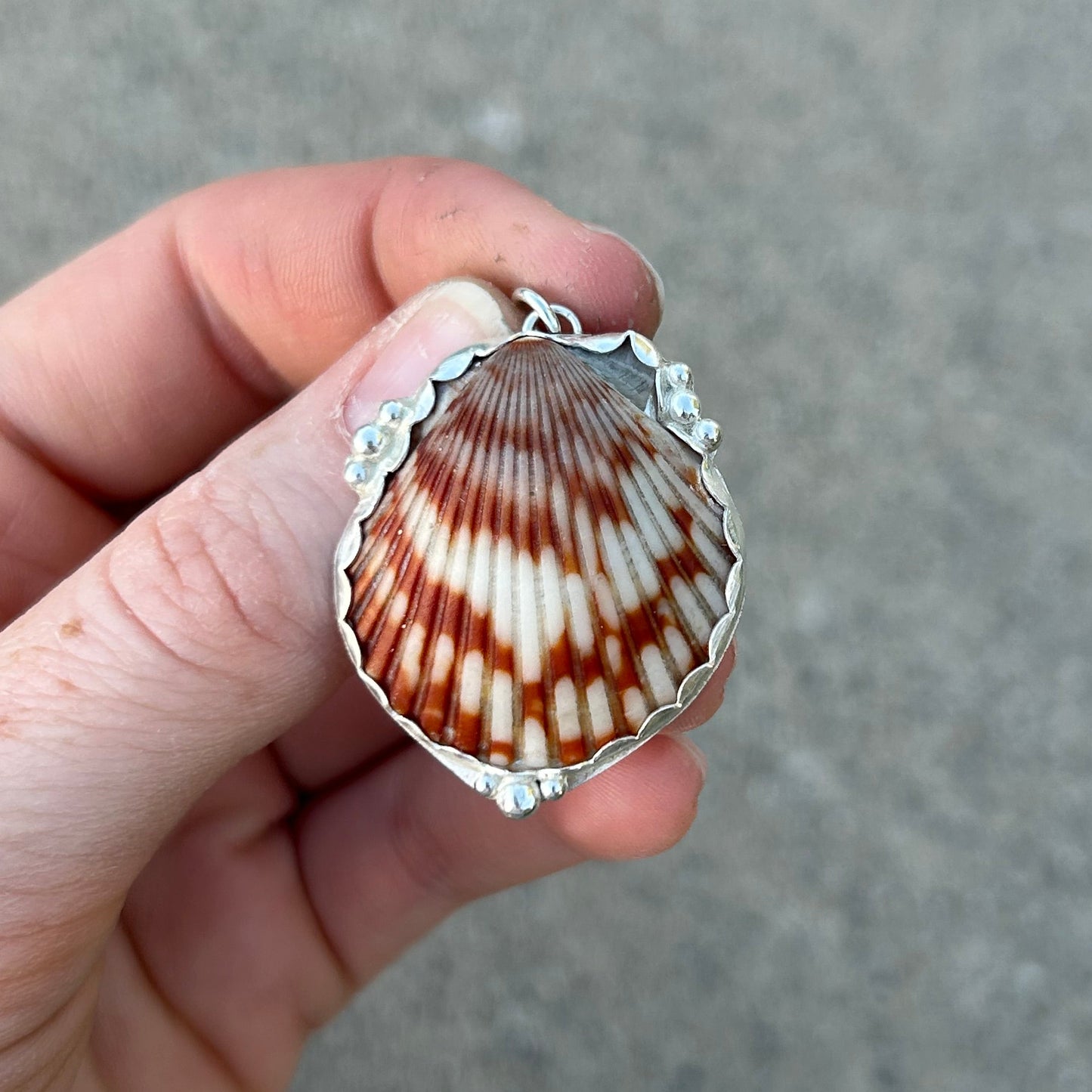 Scallop Shell Pendant