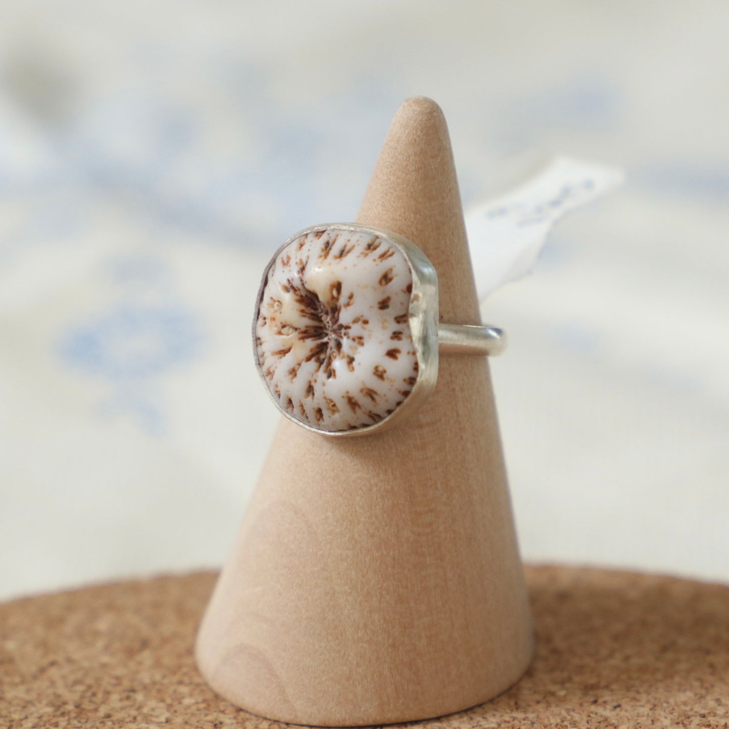 Shell Ring Size 6