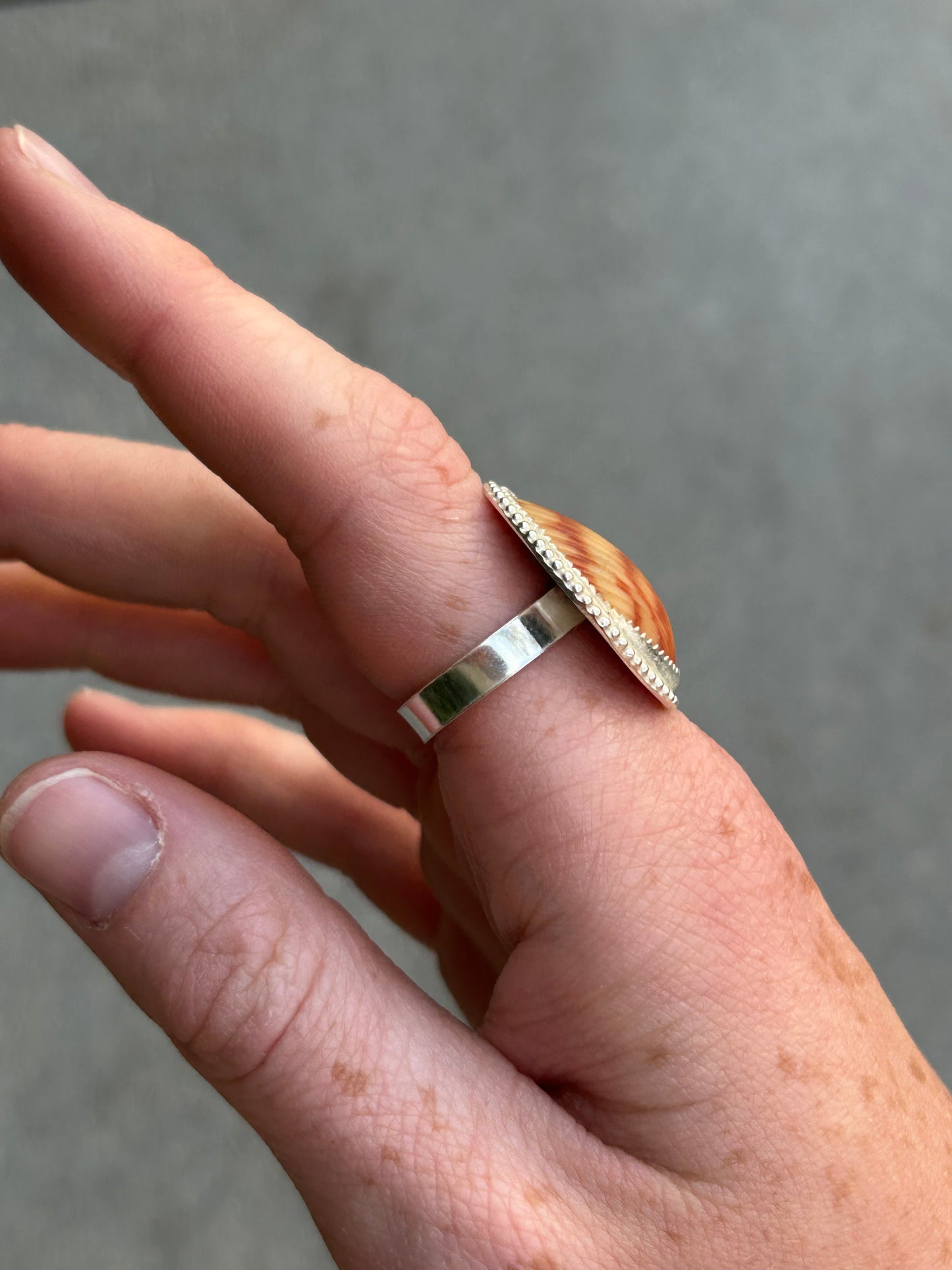 Cracked Seashell Size 7