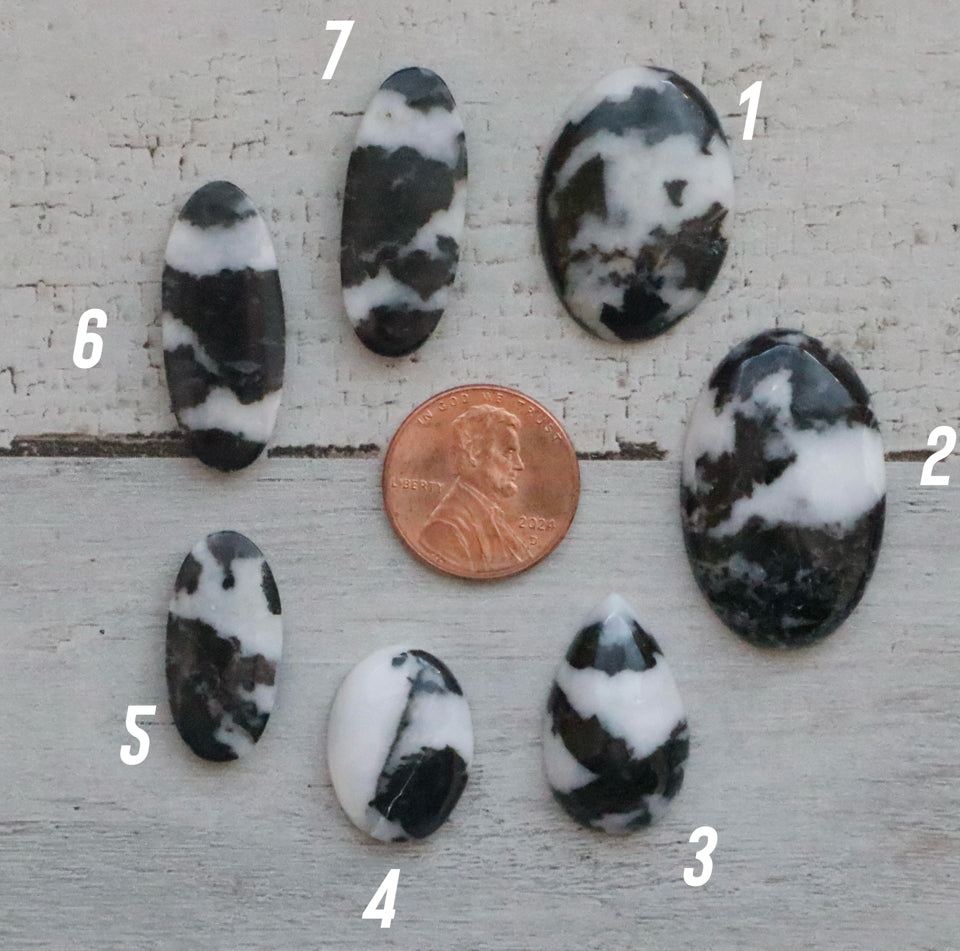 White Buffalo Customs