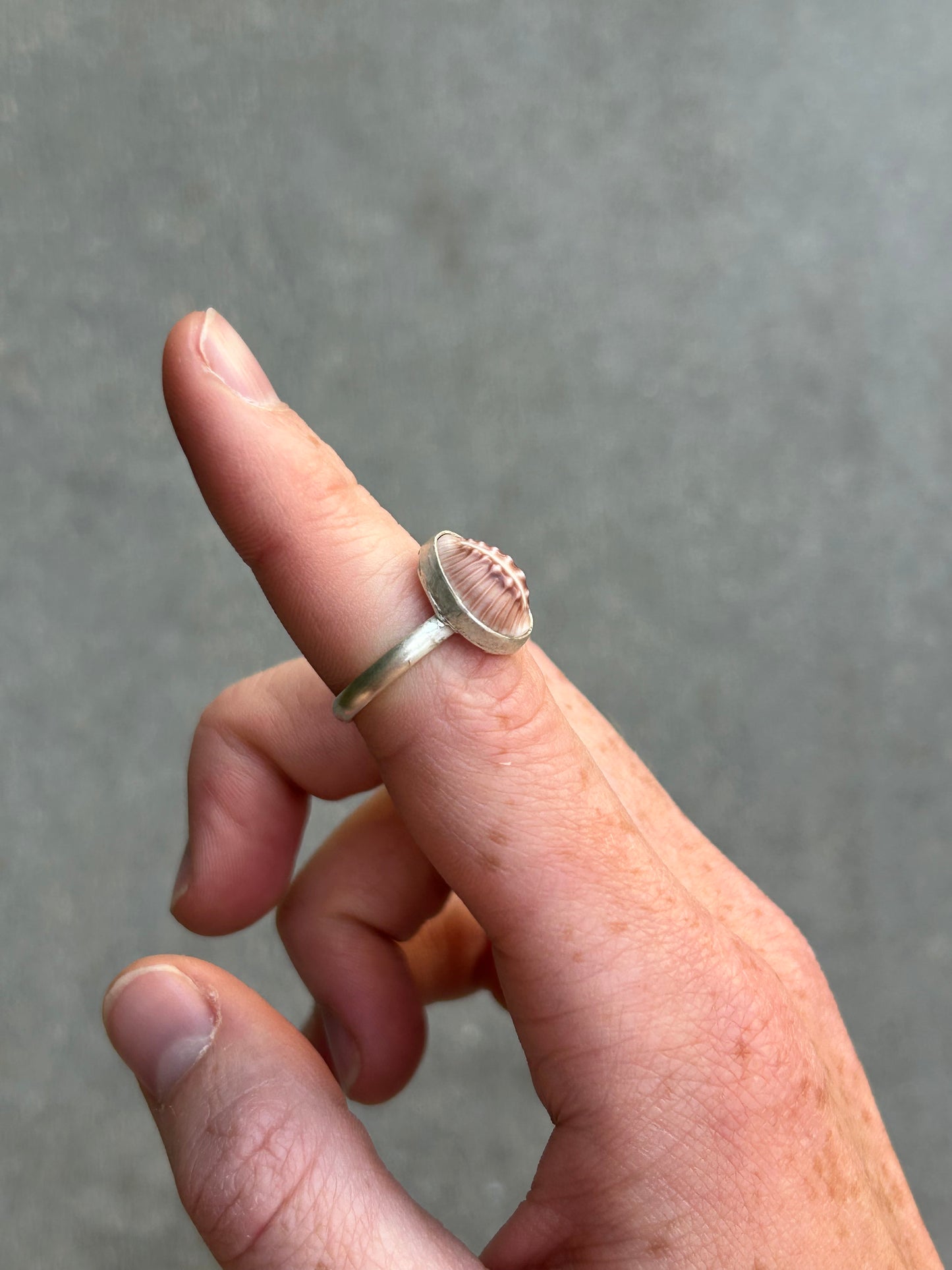 Cowrie Shell Ring Size 6