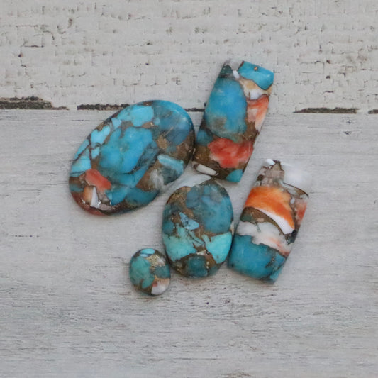 Spiny Oyster Copper Turquoise Customs