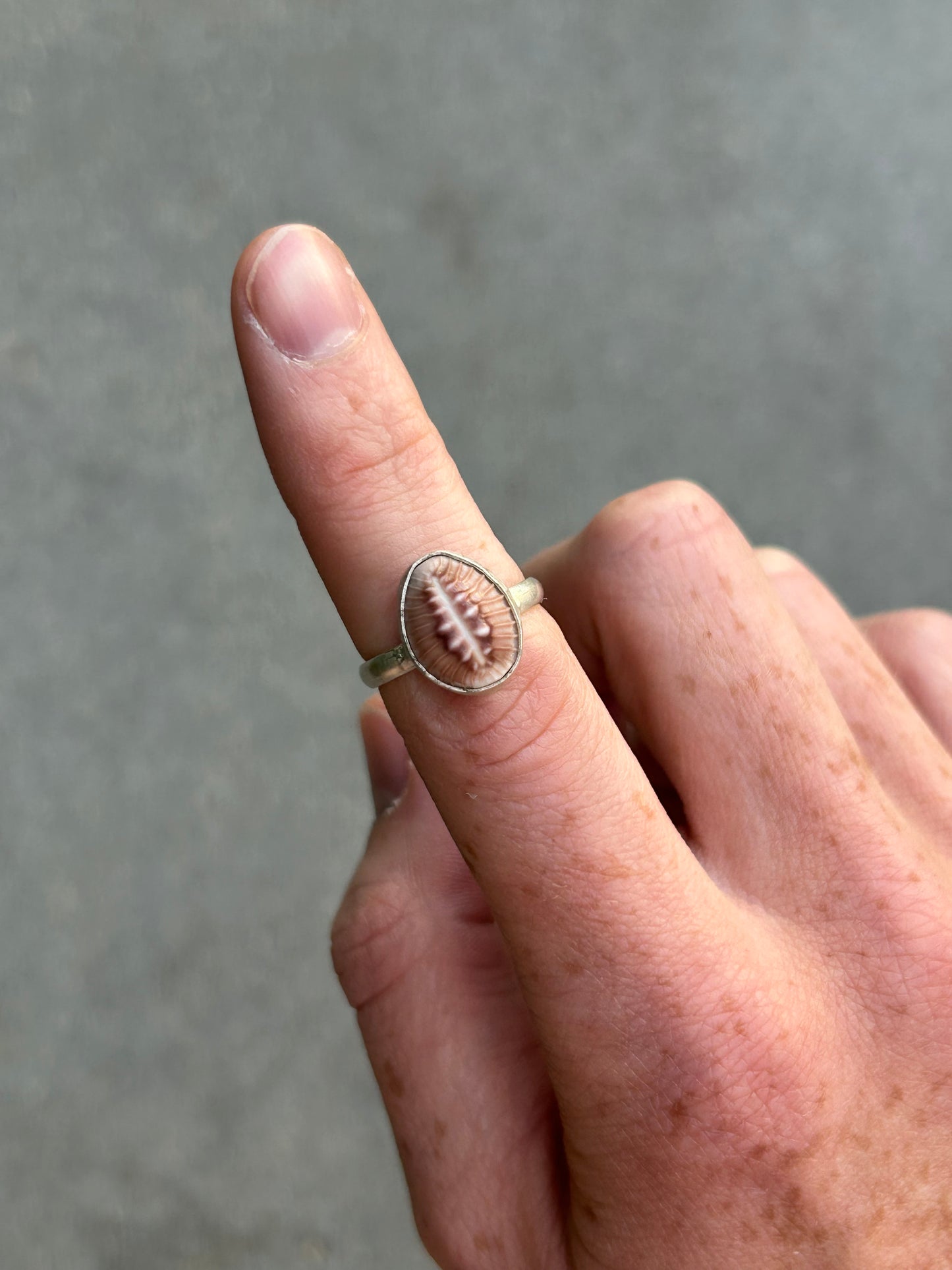 Cowrie Shell Ring Size 6