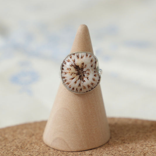 Shell Ring Size 6