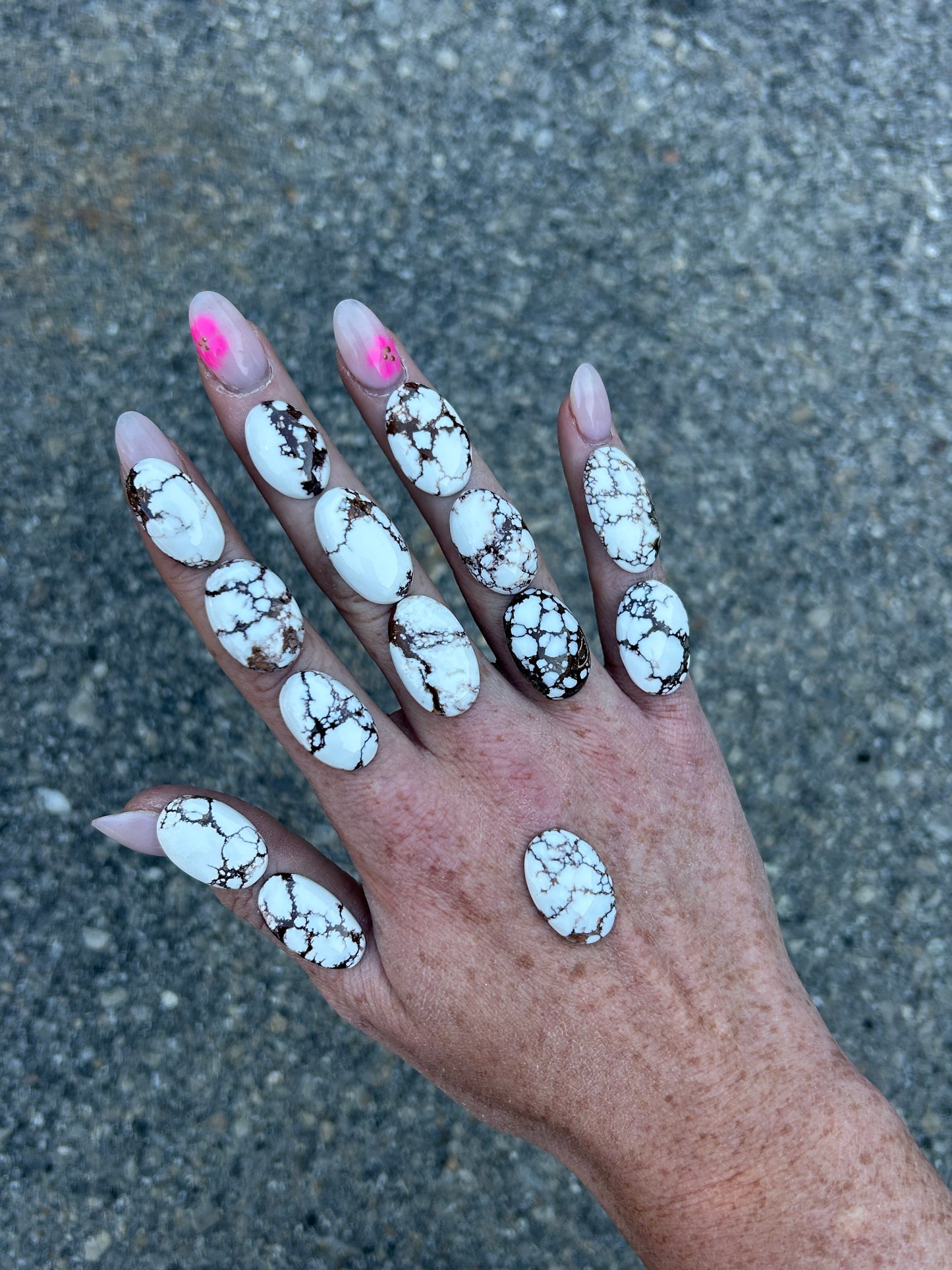 Wild Horse Customs