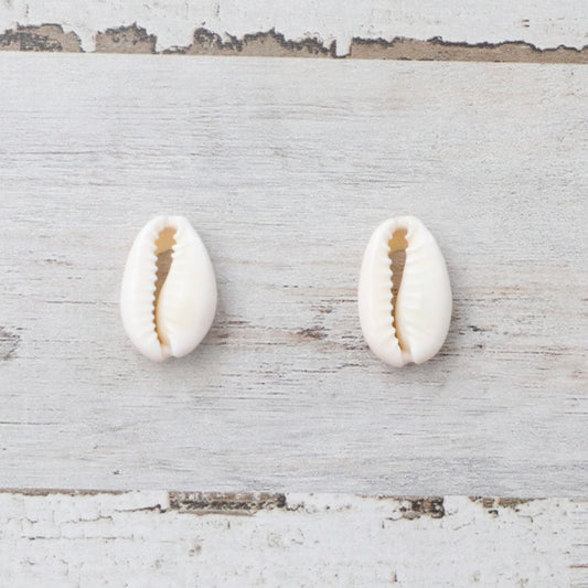 Cowrie Shell Custom